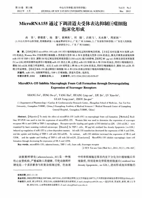 MicroRNA155通过下调清道夫受体表达抑制巨噬细胞泡沫化形成