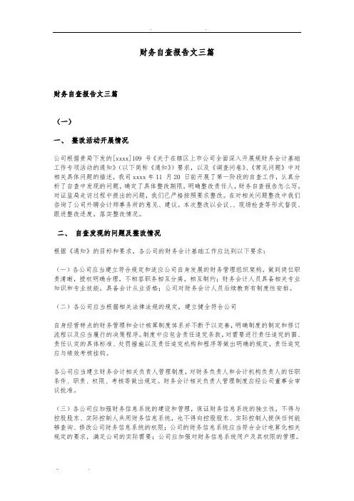 财务自查报告范文三篇