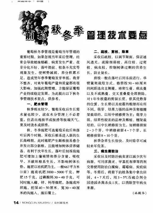 葡萄秋冬季管理技术要点