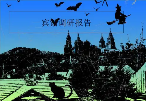 宾馆调研报告