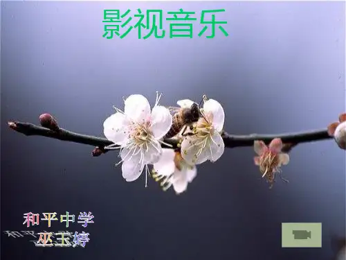 影视音乐PPT课件