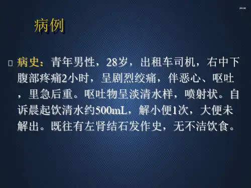 泌尿系结石  ppt课件