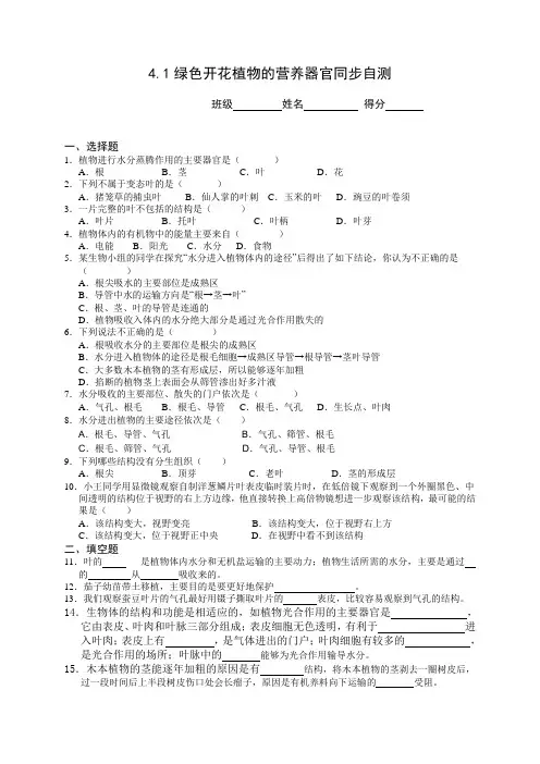 华师大版八年级科学上册同步自测4.1绿色开花植物的营养器官