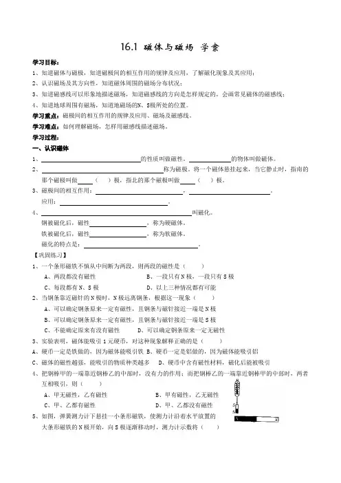 16.1 磁体与磁场 学案