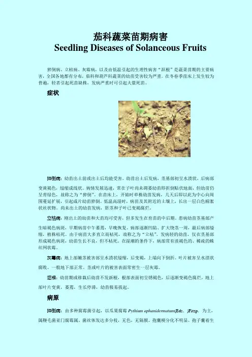 茄科蔬菜苗期病害