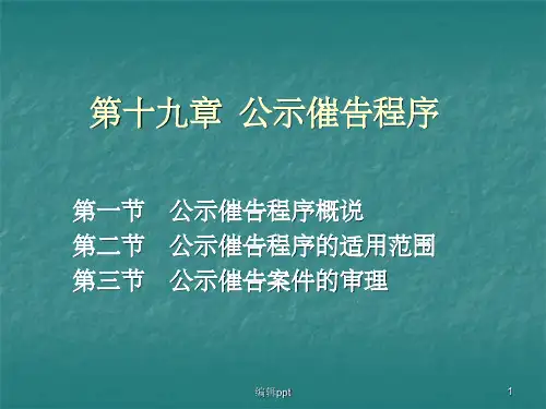 《公示催告程序》PPT课件