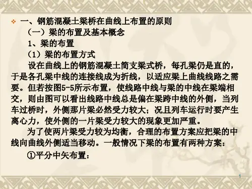 桥梁中矢距布置.ppt.deflatePPT课件