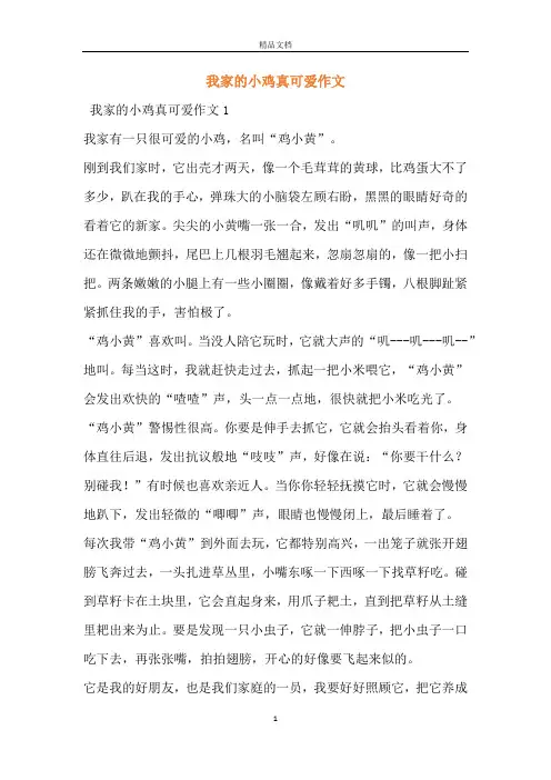 我家的小鸡真可爱作文