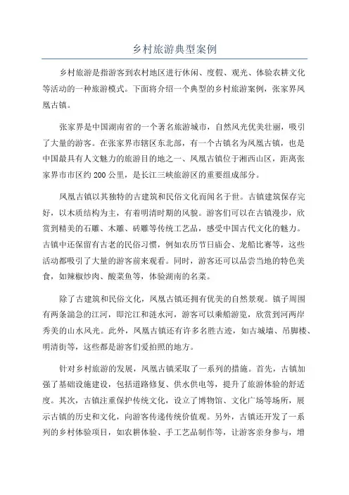 乡村旅游典型案例 2