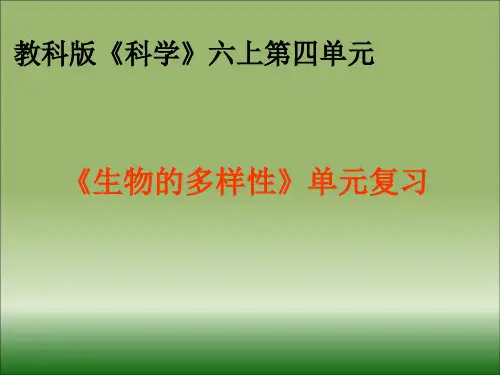 科学六上四单元《生物的多样性》复习PPT课件