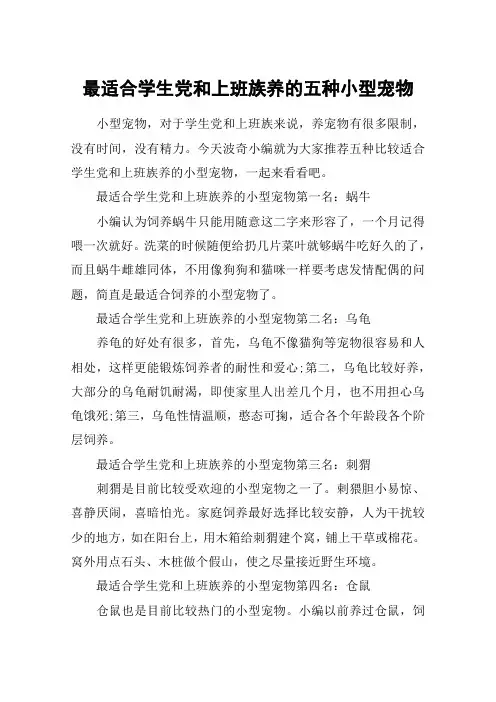 最适合学生党和上班族养的五种小型宠物