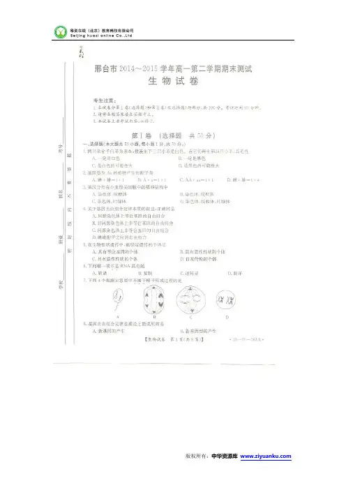 河北省邢台市2014-2015学年高一下学期期末考试生物试卷(扫描版)