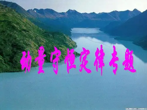 动量守恒定律专题1