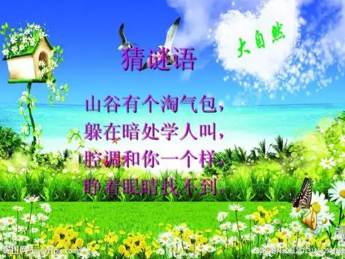友谊的回声 公开课