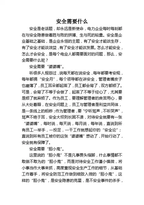 安全需要什么
