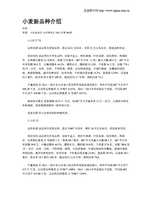 小麦新品种介绍