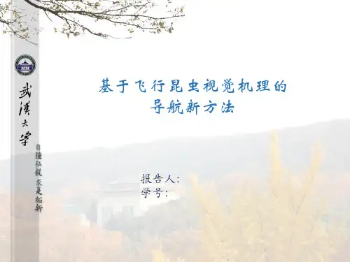 基于飞行昆虫视觉机理的导航新方法