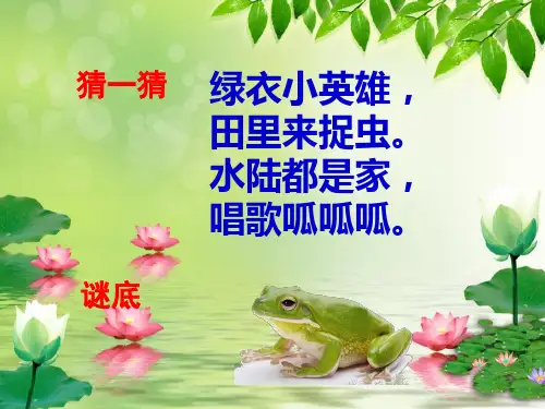 部编教材语文一下:小青蛙