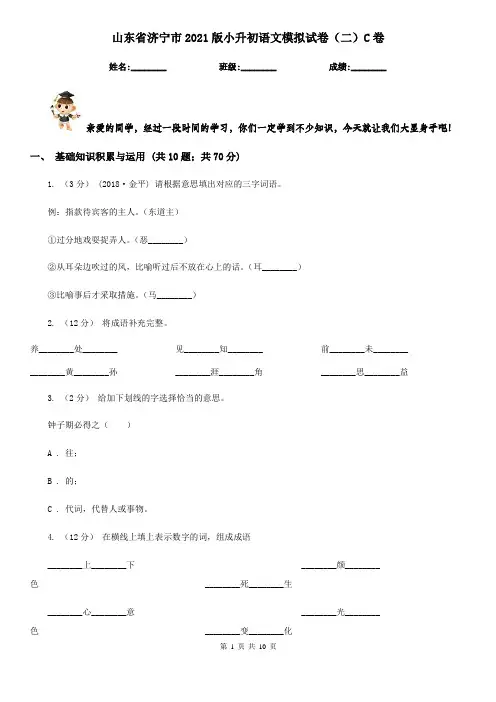 山东省济宁市2021版小升初语文模拟试卷(二)C卷