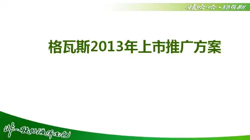 娃哈哈格瓦斯上市推广方案(XXXX1)