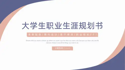 简约莫兰迪色系大学生职业生涯规划