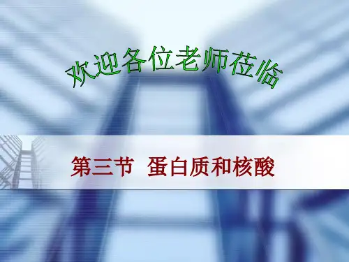 蛋白质和核酸课件.ppt