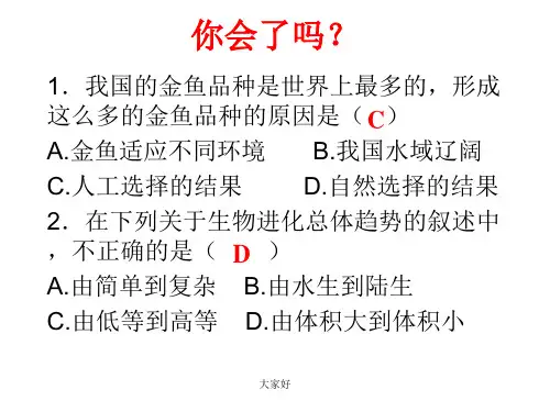 北师大版八年级生物下册课件：1生物的分类