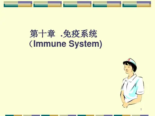 医学课件：免疫系统11
