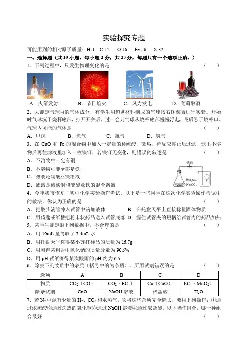 中考化学专题——实验探究