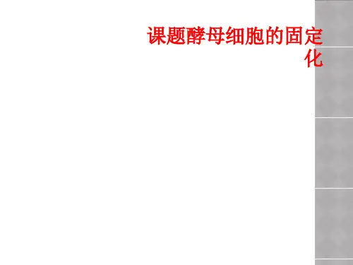 课题酵母细胞的固定化