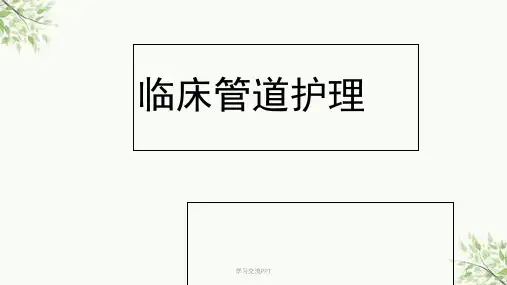 各种临床管道护理课件