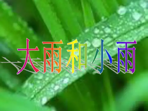 小学音乐大雨和小雨PPT课件