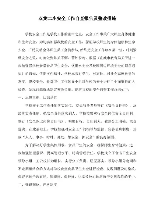 双龙二小安全工作自查报告及整改措施