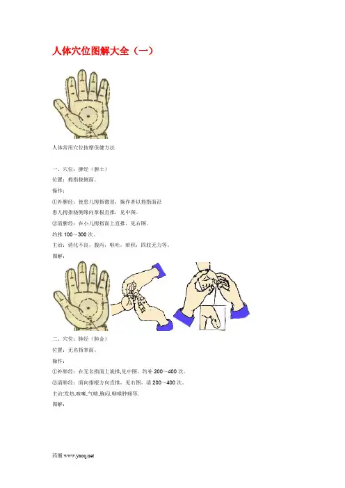 人体穴位图大全