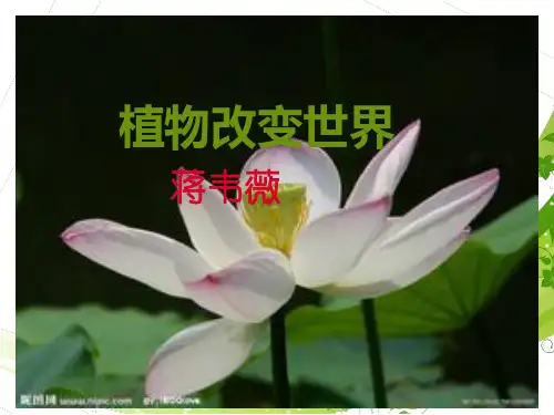 植物改变世界汇总