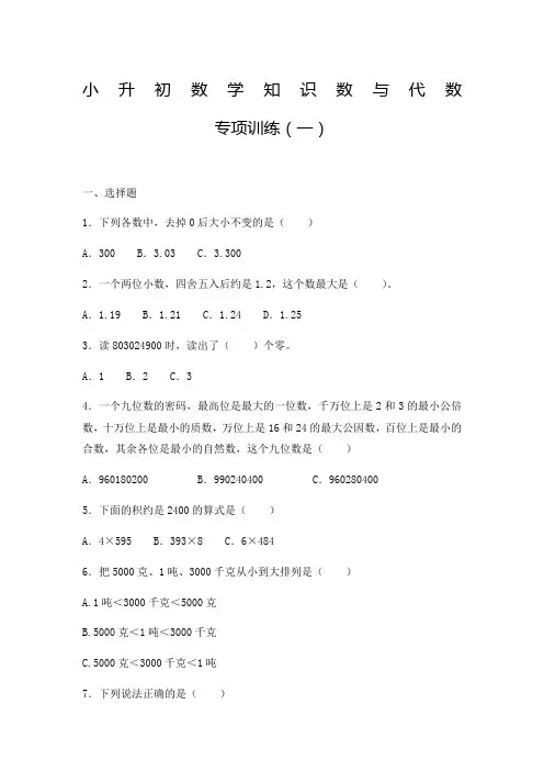 小升初数学知识数与代数专项训练一