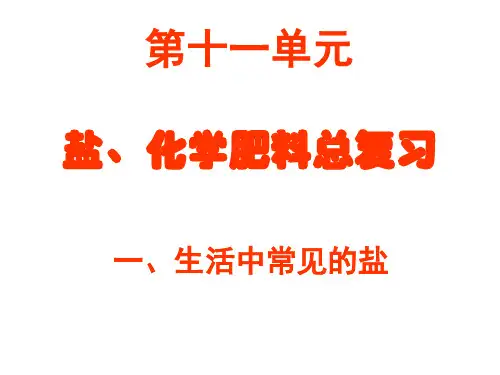 九年级化学盐和化肥单元复习课件