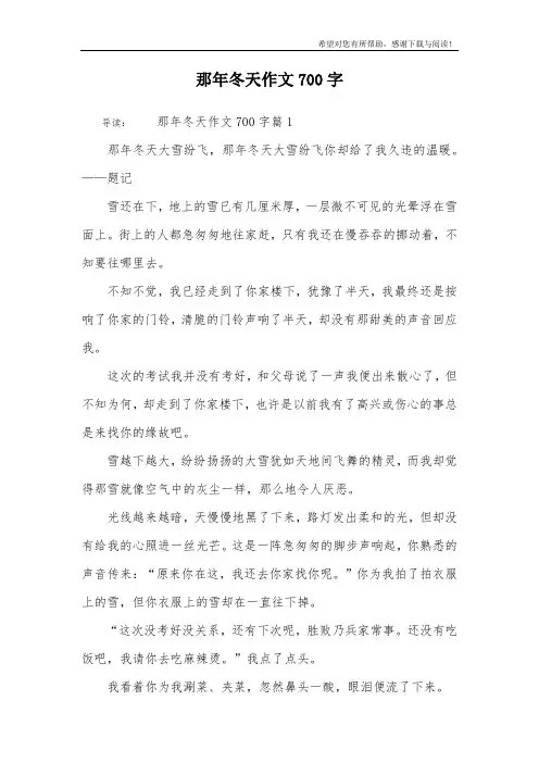 那年冬天作文700字
