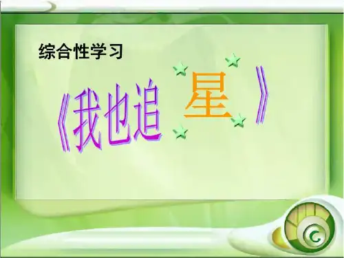 我也追星ppt1(精选)