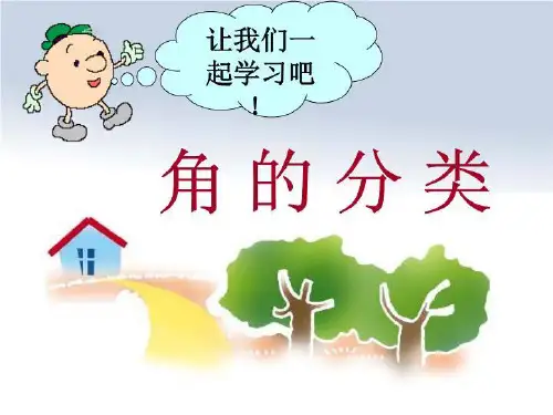 角的分类课件(精选)