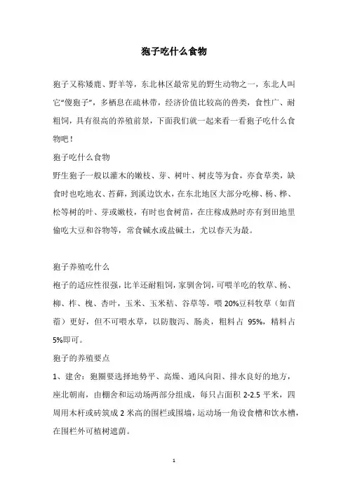 狍子吃什么食物