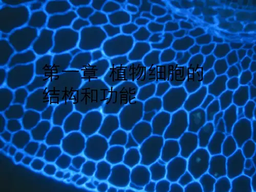 高中第1章植物细胞结构和功能