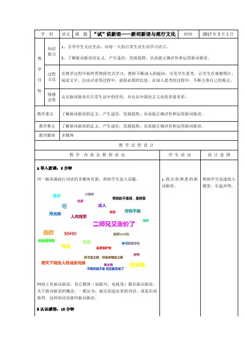 “试”说新语——新词新语与流行文化参赛教案