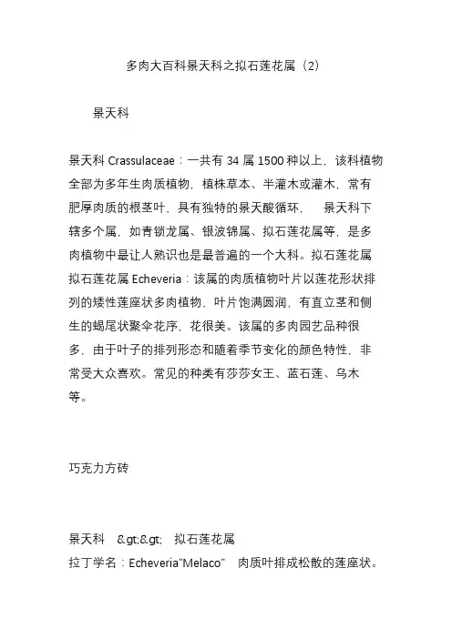 多肉大百科景天科之拟石莲花属(2)
