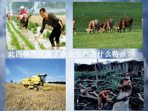 农业地域类型PPT教学专业课件