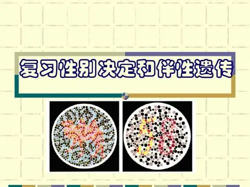 生物伴性遗传