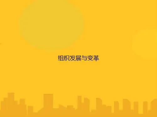 组织发展与变革PPT优秀版