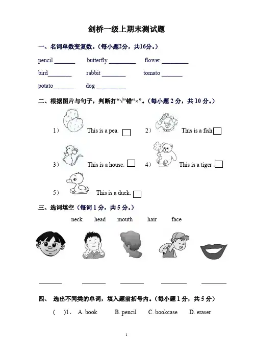 剑桥一级上期末测试题