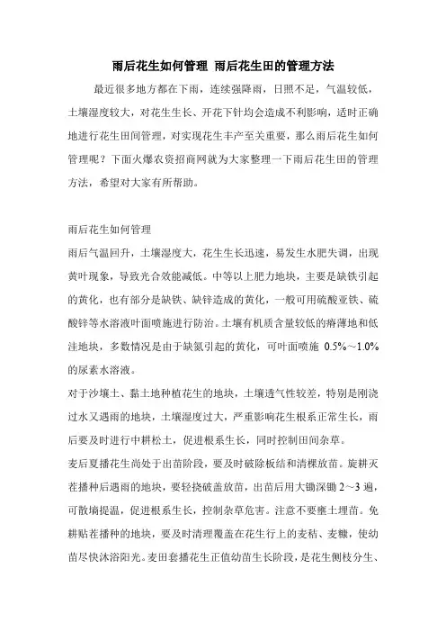 雨后花生如何管理 雨后花生田的管理方法.doc