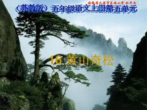 苏教版国标本五年级语文上册《黄山奇松》教学演示课件